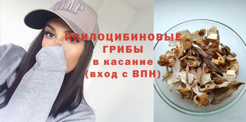 Псилоцибиновые грибы Magic Shrooms  Электрогорск 