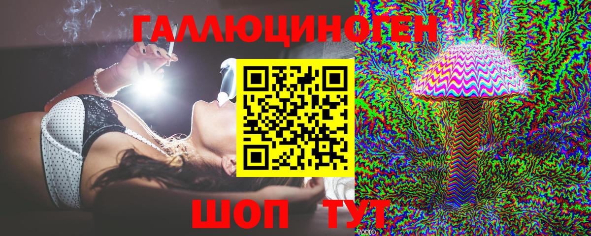 Галлюциногенные грибы Psilocybine cubensis  наркотики  Электрогорск  Вход с VPN 