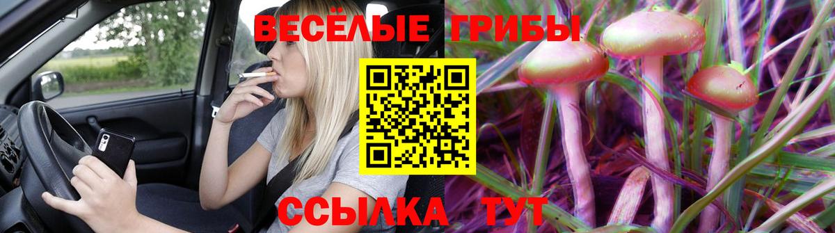 Галлюциногенные грибы Magic Shrooms Электрогорск