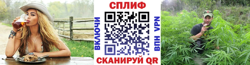 Бошки Шишки MAZAR  Электрогорск 